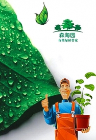辦公綠植租賃