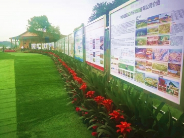 重慶開(kāi)業(yè)慶典會(huì)議租賃綠植花卉