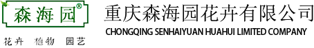 重慶植物租賃