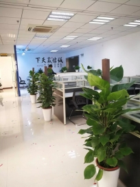 綠蘿習(xí)性養(yǎng)護(hù)及注意事項(xiàng)
