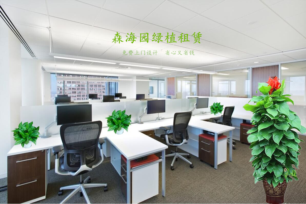 １.辦公室效果圖（森）.jpg